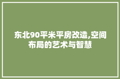 东北90平米平房改造,空间布局的艺术与智慧