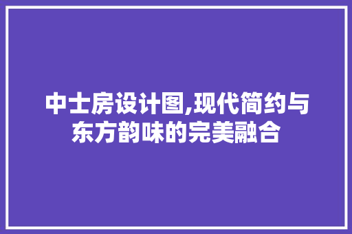中士房设计图,现代简约与东方韵味的完美融合