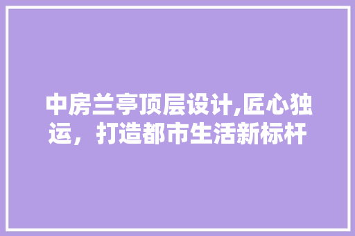 中房兰亭顶层设计,匠心独运，打造都市生活新标杆