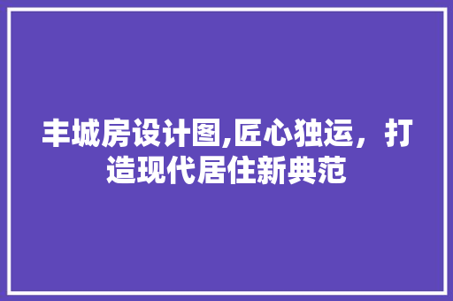 丰城房设计图,匠心独运，打造现代居住新典范