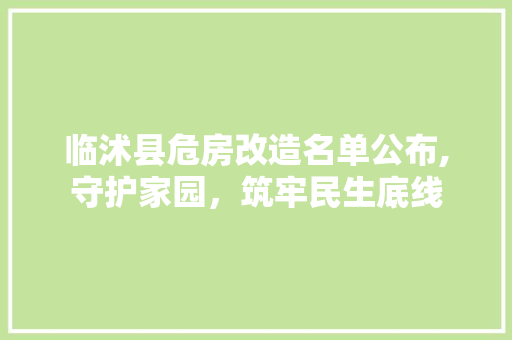 临沭县危房改造名单公布,守护家园，筑牢民生底线