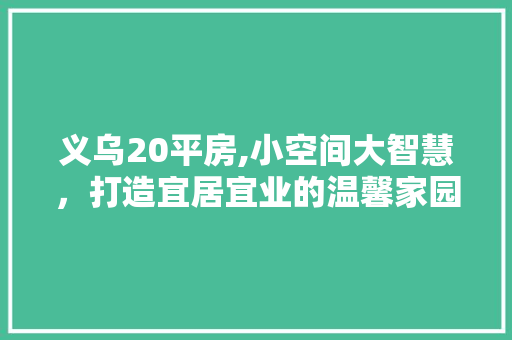 义乌20平房,小空间大智慧，打造宜居宜业的温馨家园