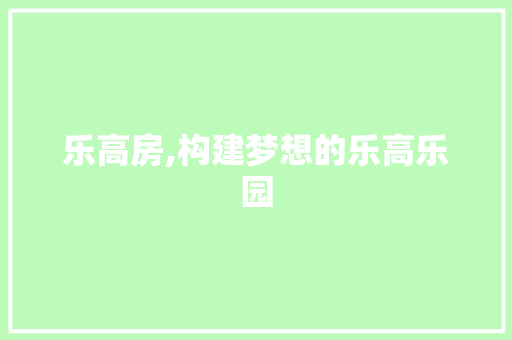 乐高房,构建梦想的乐高乐园