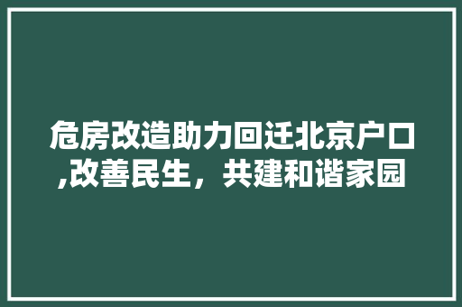 危房改造助力回迁北京户口,改善民生，共建和谐家园