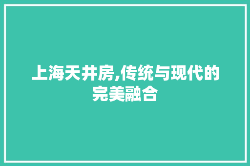 上海天井房,传统与现代的完美融合