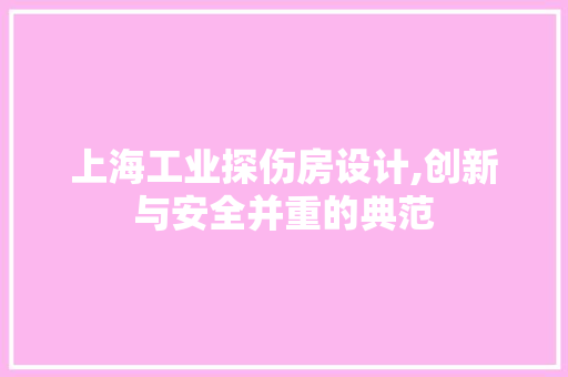上海工业探伤房设计,创新与安全并重的典范