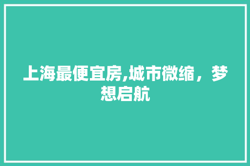 上海最便宜房,城市微缩，梦想启航