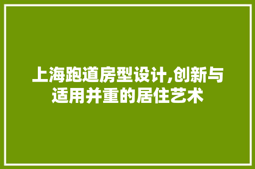 上海跑道房型设计,创新与适用并重的居住艺术