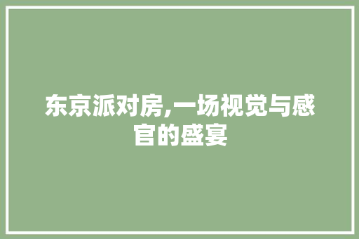 东京派对房,一场视觉与感官的盛宴 装修攻略