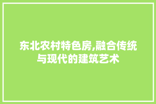 东北农村特色房,融合传统与现代的建筑艺术