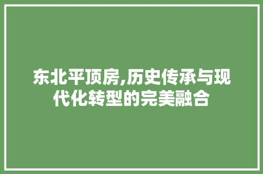 东北平顶房,历史传承与现代化转型的完美融合