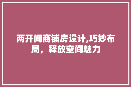两开间商铺房设计,巧妙布局，释放空间魅力