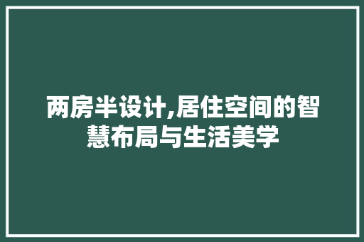 两房半设计,居住空间的智慧布局与生活美学