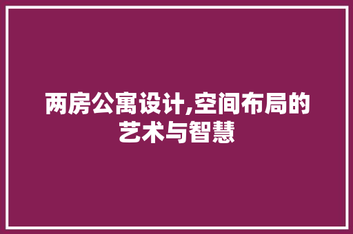 两房公寓设计,空间布局的艺术与智慧
