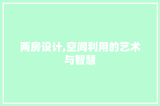 两房设计,空间利用的艺术与智慧 装修材料