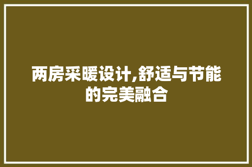 两房采暖设计,舒适与节能的完美融合 墙面装饰