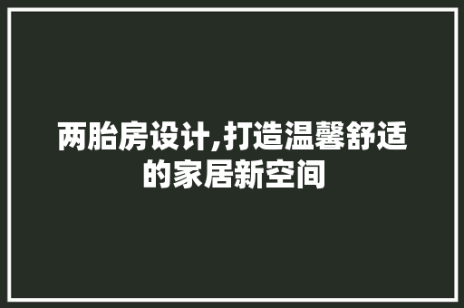两胎房设计,打造温馨舒适的家居新空间