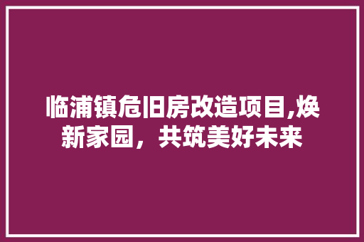 临浦镇危旧房改造项目,焕新家园，共筑美好未来
