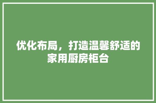 优化布局，打造温馨舒适的家用厨房柜台