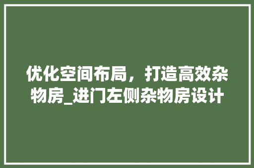 优化空间布局，打造高效杂物房_进门左侧杂物房设计 地面装修