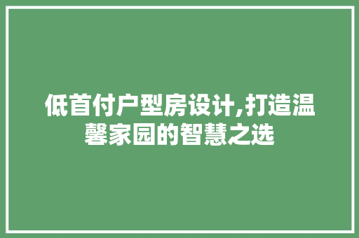 低首付户型房设计,打造温馨家园的智慧之选