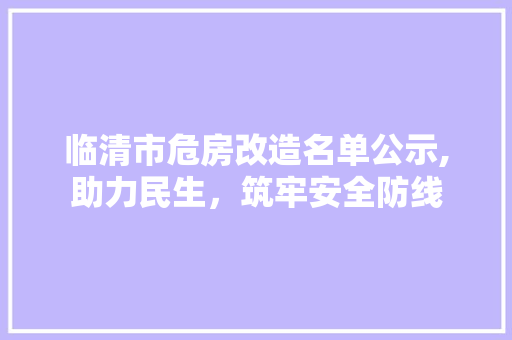 临清市危房改造名单公示,助力民生，筑牢安全防线