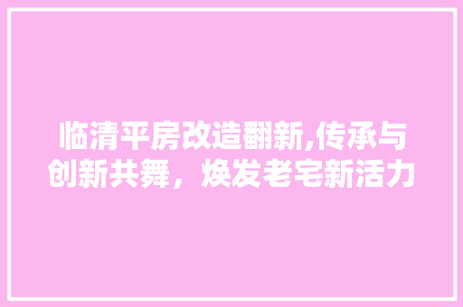 临清平房改造翻新,传承与创新共舞，焕发老宅新活力
