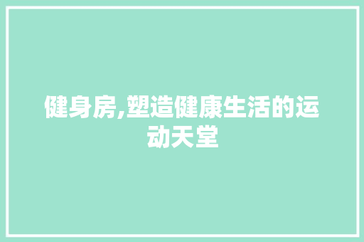 健身房,塑造健康生活的运动天堂 装修攻略