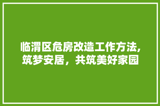 临渭区危房改造工作方法,筑梦安居，共筑美好家园