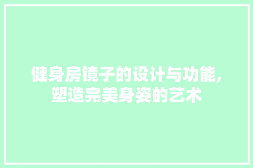 健身房镜子的设计与功能,塑造完美身姿的艺术