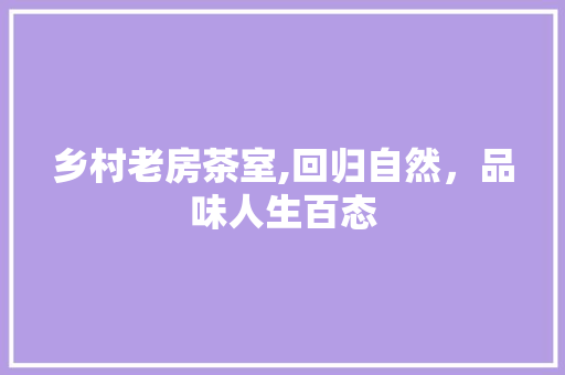 乡村老房茶室,回归自然，品味人生百态