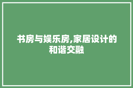 书房与娱乐房,家居设计的和谐交融