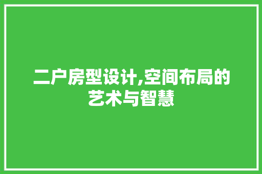 二户房型设计,空间布局的艺术与智慧