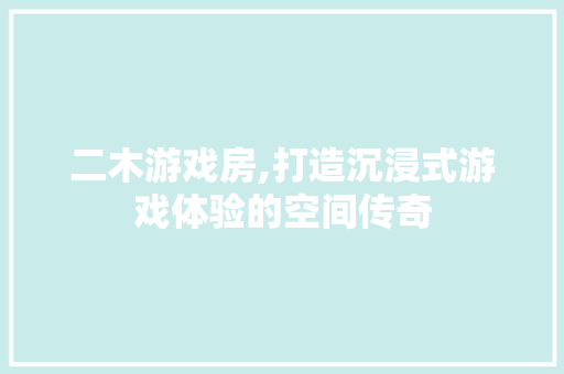 二木游戏房,打造沉浸式游戏体验的空间传奇