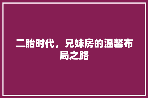 二胎时代，兄妹房的温馨布局之路