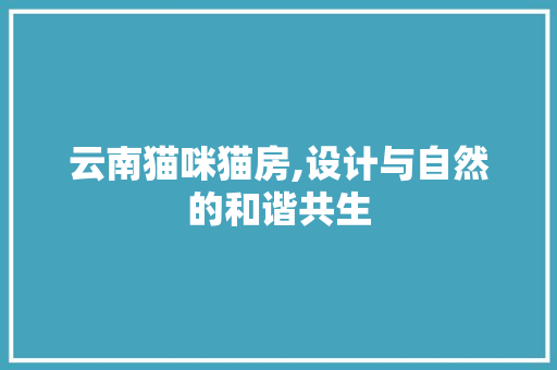 云南猫咪猫房,设计与自然的和谐共生
