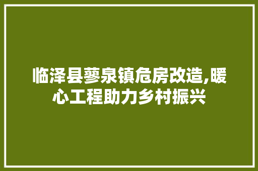 临泽县蓼泉镇危房改造,暖心工程助力乡村振兴