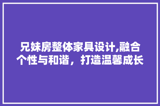兄妹房整体家具设计,融合个性与和谐，打造温馨成长空间