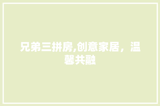 兄弟三拼房,创意家居，温馨共融