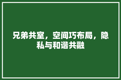 兄弟共室，空间巧布局，隐私与和谐共融 景观设计