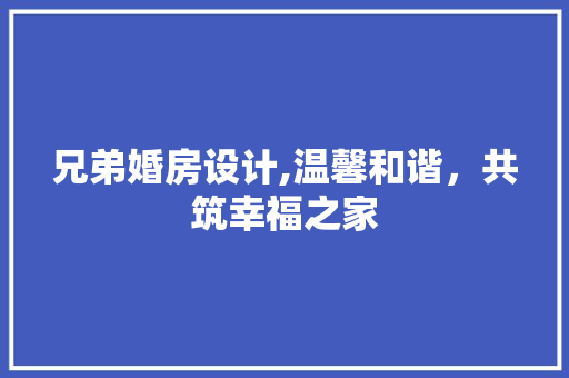 兄弟婚房设计,温馨和谐，共筑幸福之家