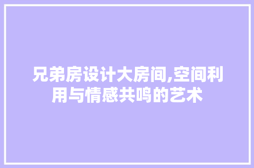 兄弟房设计大房间,空间利用与情感共鸣的艺术