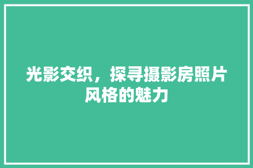 光影交织，探寻摄影房照片风格的魅力 装修材料