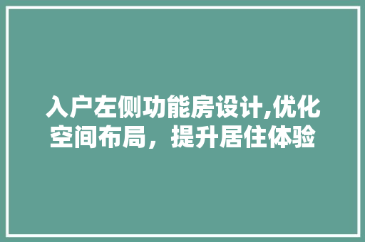 入户左侧功能房设计,优化空间布局，提升居住体验