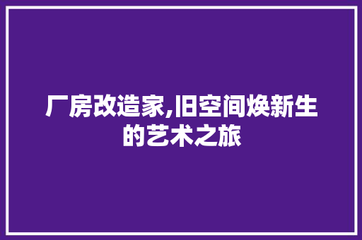 厂房改造家,旧空间焕新生的艺术之旅