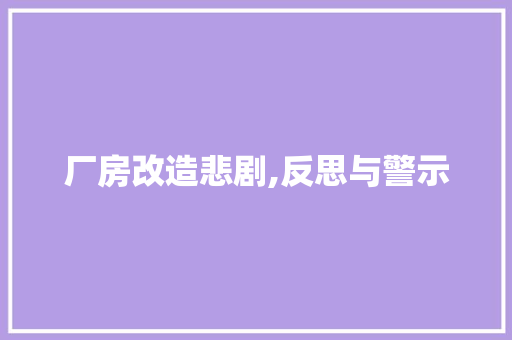 厂房改造悲剧,反思与警示