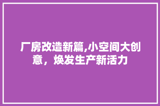 厂房改造新篇,小空间大创意，焕发生产新活力