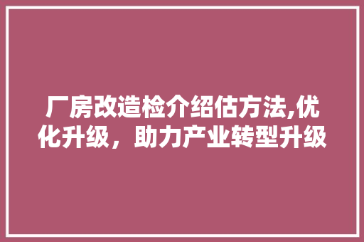 厂房改造检介绍估方法,优化升级，助力产业转型升级