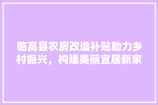 临高县农房改造补贴助力乡村振兴，构建美丽宜居新家园