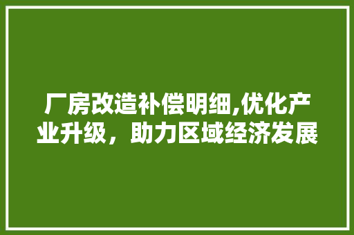厂房改造补偿明细,优化产业升级，助力区域经济发展